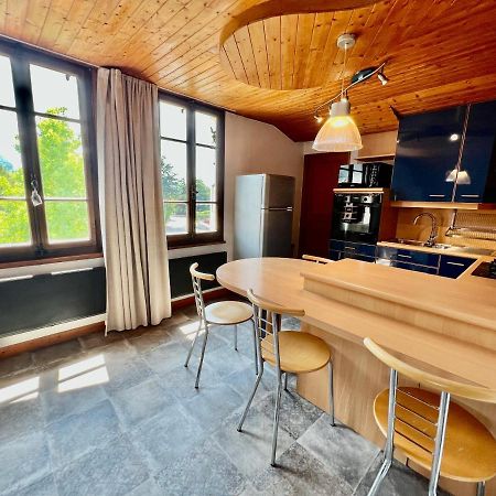 La Branche Du Cerisier Apartment Annecy Exterior photo
